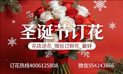 ���ݿ���������