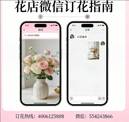 ���ݿ���������